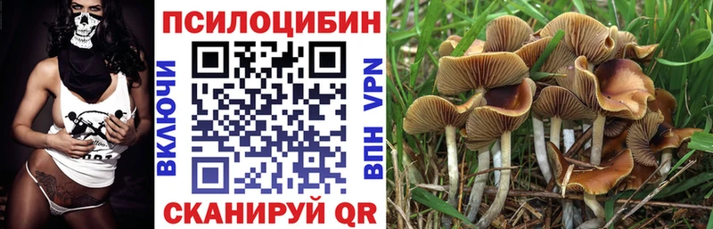 Галлюциногенные грибы ЛСД  Красноуральск 